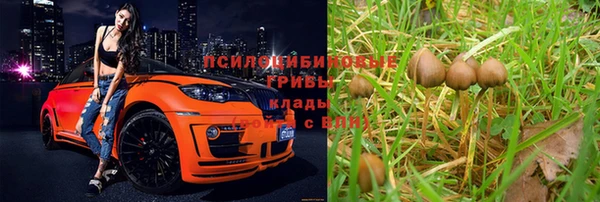 прущие крисы Аркадак