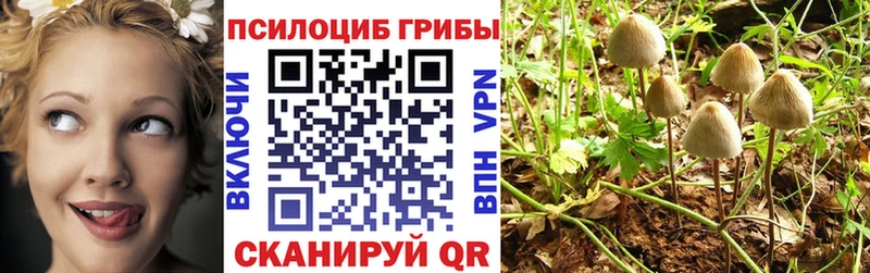 Псилоцибиновые грибы MAGIC MUSHROOMS  где найти наркотики  Белинский 